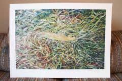 Auction-photos-03-scaled