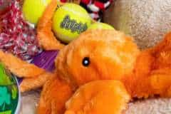 Auction-photos-04-scaled