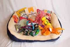 Auction-photos-07-scaled